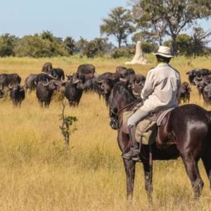 Horse Riding In himachal hills